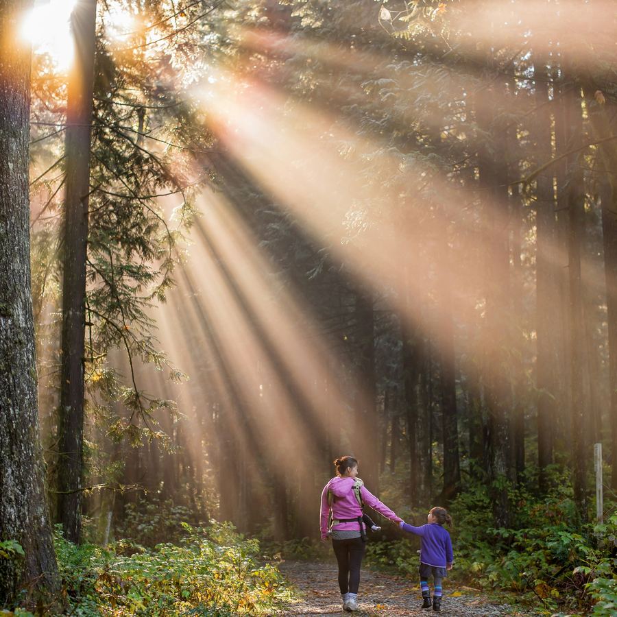 Mère et enfant se tenant la main sur un chemin en forêt, sous des rayons de soleil