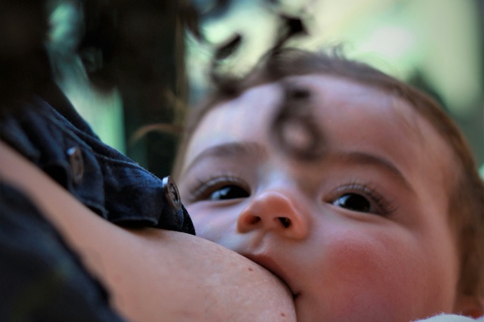 Bébé au sein, blotti contre sa mère